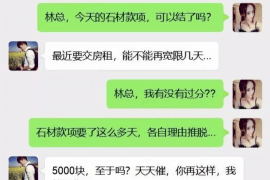 集安为什么选择专业追讨公司来处理您的债务纠纷？